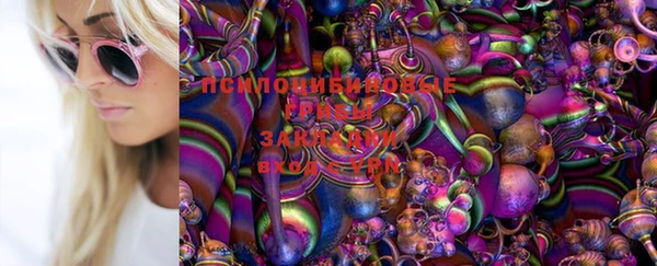 прущие крисы Абинск