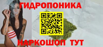соль ск Краснознаменск