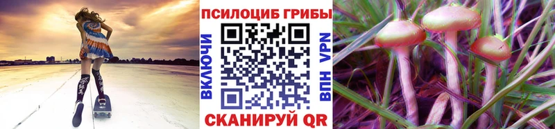 Галлюциногенные грибы Psilocybe  цены наркотик  Звенигород 