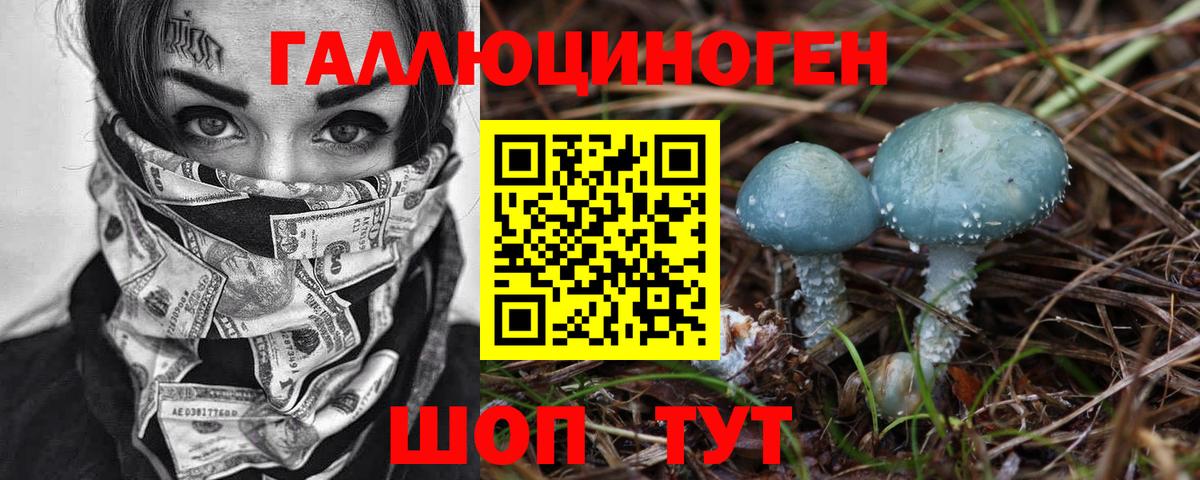 Галлюциногенные грибы Psilocybe  Псилоцибиновые грибы Psilocybe  Звенигород  Вход с VPN 